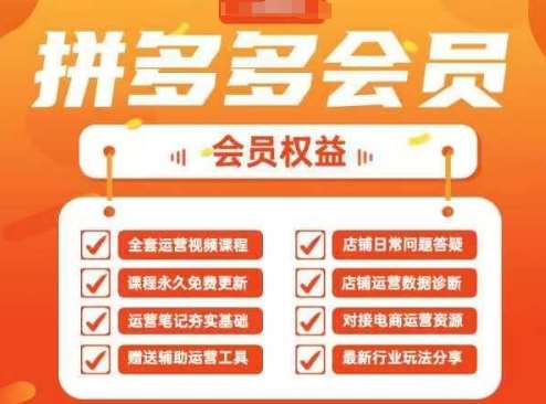 2025拼多多运营实战课，40节全流程教学，覆盖拼多多运营全链路|无忧资源社