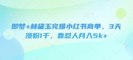 即梦+林黛玉完爆小红书商单，3天涨粉1千，靠怼人月入5k+|无忧资源社