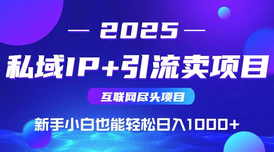 （14613期）私域IP+卖项目，普通人小白也能轻松实现日入1000+|无忧资源社