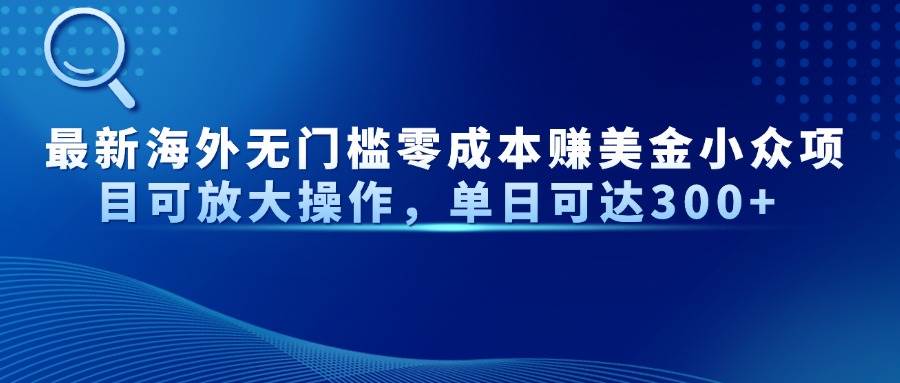 （14542期）最新海外无门槛零成本赚美金小众项目可放大操作，单日可达300+|无忧资源社