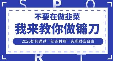 韭菜生涯终结者，我来教你做镰刀，2025如何通过“知识付费”实现财F自由【揭秘】|无忧资源社