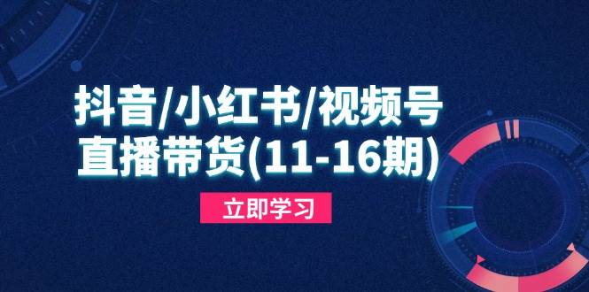 （14611期）抖音/小红书/视频号/直播带货(11-16期)，快速掌握平台规则，打造爆款内容|无忧资源社