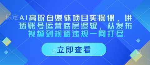 AI高阶自媒体项目实操课，讲透账号运营底层逻辑，从发布视频到规避违规一网打尽|无忧资源社
