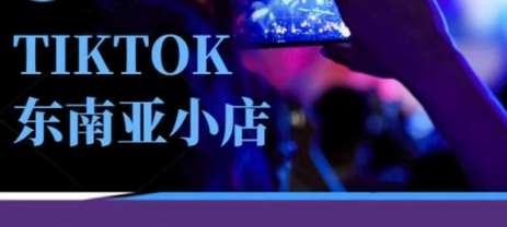 Tiktok东南亚跨境小店运营班，一门专业的TK小店运营培训课|无忧资源社