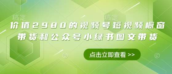 价值2980的视频号短视频橱窗带货和公众号小绿书图文带货|无忧资源社