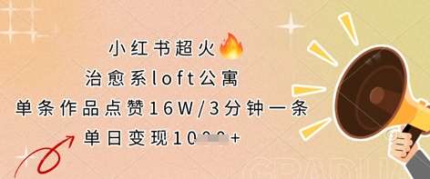 小红书超火的治愈系loft公寓，单条作品点赞16W，3分钟一条，单日变现数张|无忧资源社