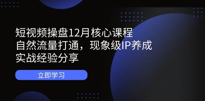 （14447期）短视频操盘12月核心课程：自然流量打通，现象级IP养成，实战经验分享|无忧资源社
