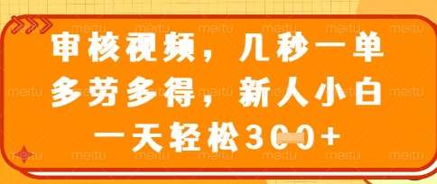 最新审核视频，几秒一单，多劳多得，新人小白一天轻松3张【揭秘】|无忧资源社