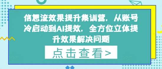 信息流效果提升集训营，从账号冷启动到AI提效，全方位立体提升效果解决问题|无忧资源社