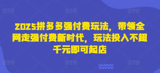 2025拼多多强付费玩法，带领全网走强付费新时代，玩法投入不超千元即可起店|无忧资源社