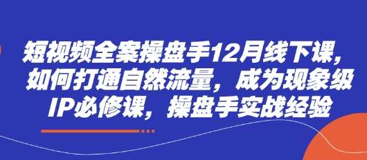 短视频全案操盘手12月线下课，如何打通自然流量，成为现象级IP必修课，操盘手实战经验|无忧资源社