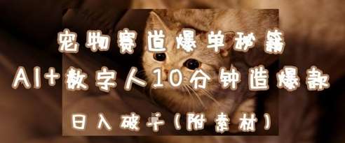 宠物赛道爆单秘籍：AI+数字人10分钟造爆款，日入1k|无忧资源社