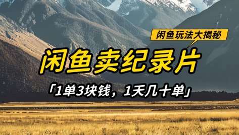 闲鱼卖纪录片1单3块钱，1天几十单，项目稳定有潜力|无忧资源社