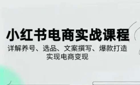 小红书从0-1实操课(2023-2025)，详解养号、选品、文案撰写、爆款打造实现电商变现|无忧资源社