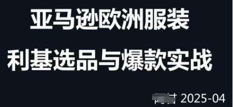 跨境电商选品案例24-25年，聚焦跨境电商选品策略与运营优化，助力卖家挖掘蓝海市场|无忧资源社