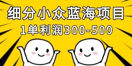 细分小众蓝海项目，一单利润3张，每月收入稳定过1w+|无忧资源社