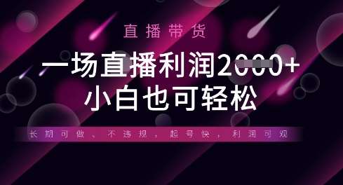 半无人直播带货，一场利润数张，适合所有平台玩法，小白也可轻松|无忧资源社