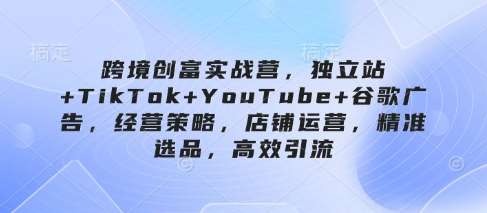 跨境创富实战营，独立站+TikTok+YouTube+谷歌广告，经营策略，店铺运营，精准选品，高效引流|无忧资源社