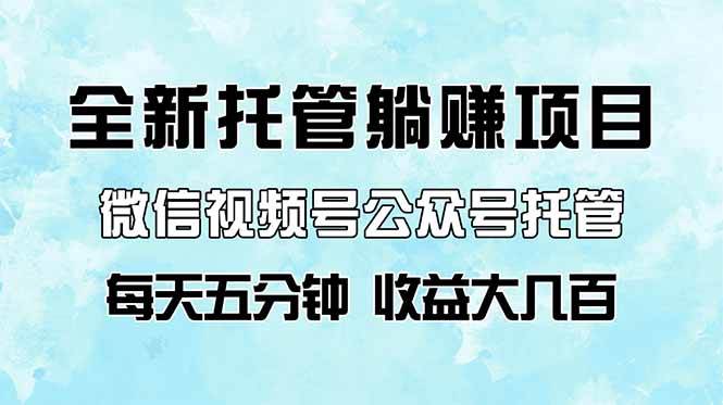 （14425期）全新托管躺赚项目，微信视频号公众号托管代运营，每天五分钟，收益大几百|无忧资源社