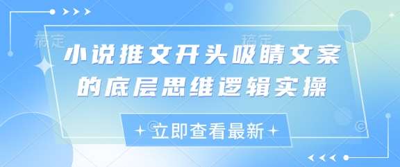 小说推文开头吸睛文案的底层思维逻辑实操|无忧资源社