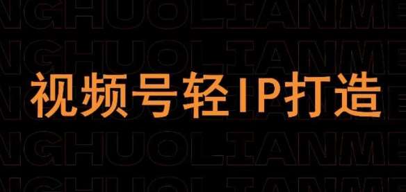 视频号线上课程，视频号轻IP打造|无忧资源社