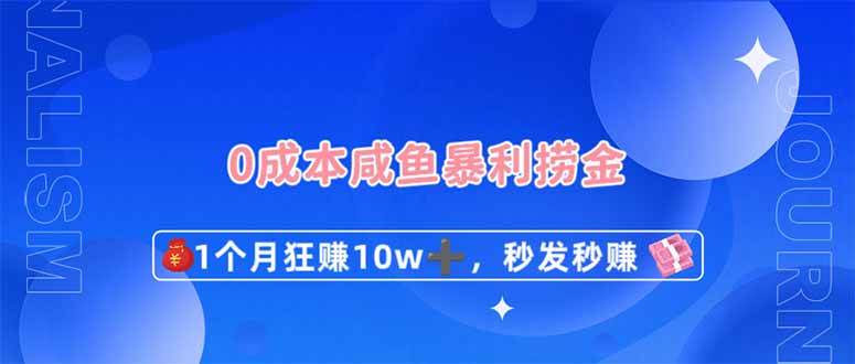 0成本闲鱼暴利捞金，1个月狂赚10W+，秒发秒赚新玩法|无忧资源社