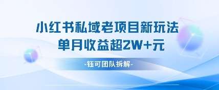 小红书私域项目新玩法，单月变现过W+|无忧资源社