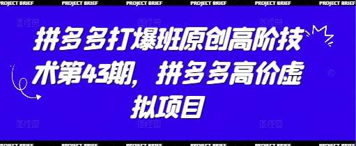 拼多多打爆班原创高阶技术第43期，拼多多高价虚拟项目|无忧资源社
