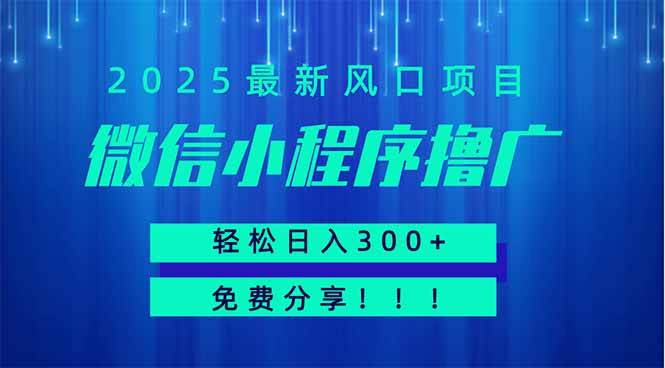 （14375期）微信小程序撸广，最新风口项目，日入300+ 免费分享 可批量操作 小白可…|无忧资源社