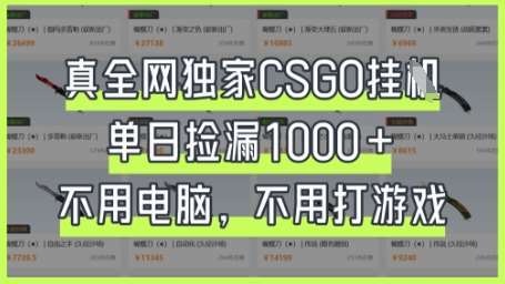 真全网独家CSGO挂G，单日捡漏1k+【揭秘】|无忧资源社