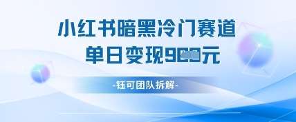 小红书冷门”暗黑”赛道，单日收益多张|无忧资源社