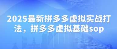2025最新拼多多虚拟实战打法，拼多多虚拟基础sop|无忧资源社