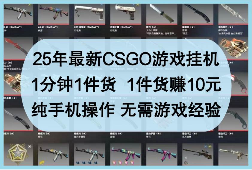 25年最新CSGO游戏挂机，1分钟1件货，1件货赚10元，纯手机操作，无需游戏经验|无忧资源社