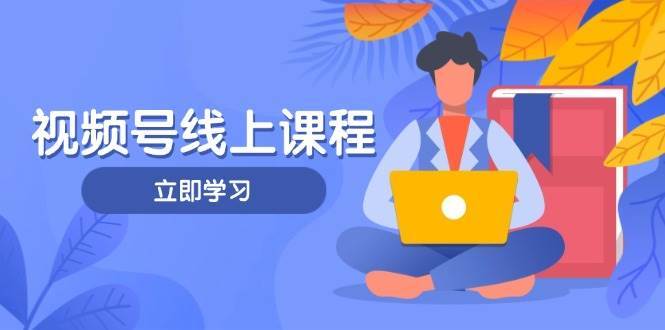 视频号实战课程，轻IP打造与运营技巧，掌握核心方法与策略|无忧资源社