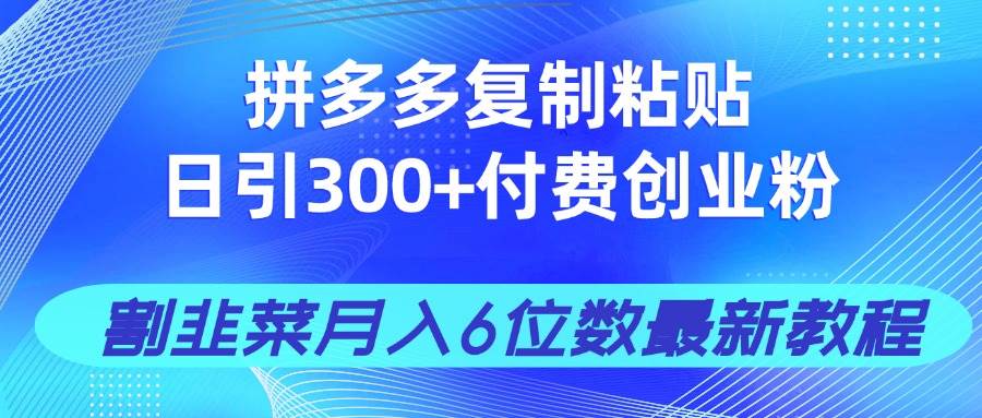 （14232期）拼多多复制粘贴日引300+付费创业粉，割韭菜月入6位数最新教程！|无忧资源社