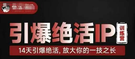 引爆绝活IP训练营，14天引爆绝活，放大你的一技之长|无忧资源社