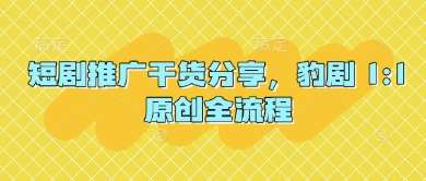 短剧推广干货分享，豹剧 1:1原创全流程|无忧资源社