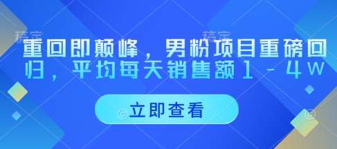 重回即颠峰，男粉项目重磅回归，平均每天销售额1-4W|无忧资源社