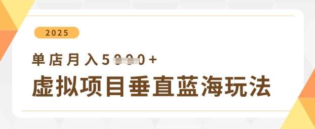 虚拟项目垂直玩法，实现单店月入5k+|无忧资源社