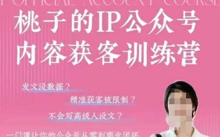 桃子IP公众号内容获客训练营(第3期)，一门让你公众号从0到商业闭环的课程|无忧资源社