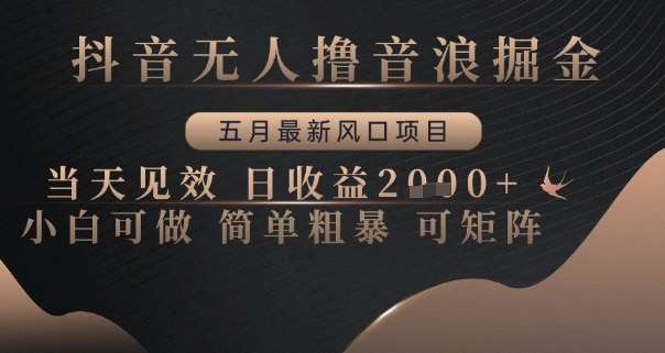 抖音无人撸音浪掘金，五月最新风口项目，当天见效，日收益多张，小白可做简单粗暴可矩阵【揭秘】|无忧资源社