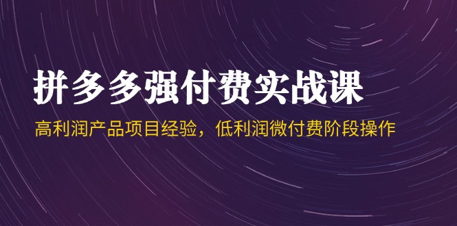 （14874期）拼多多强付费实战课-44期，高利润产品项目经验，低利润微付费阶段操作|无忧资源社
