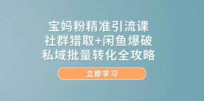 宝妈粉精准引流课，社群猎取+闲鱼爆破，私域批量转化全攻略|无忧资源社
