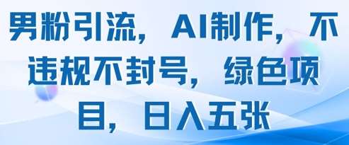 男粉引流，AI制作，不违规不封号，绿色项目，日入五张|无忧资源社