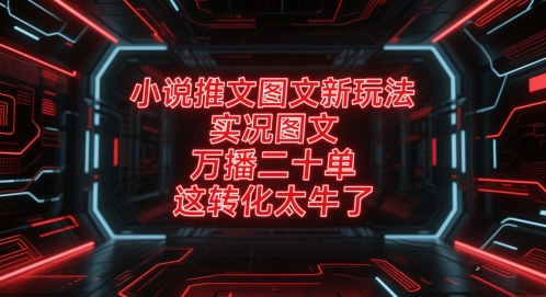 小说推文图文新玩法，实况图文，万播二十单，这转化太牛了！|无忧资源社