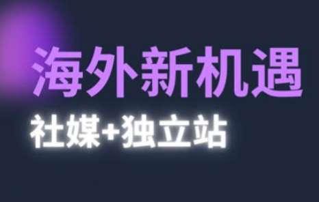2025出海新机遇(社媒+独立站)，海外新机遇，实现独立站的高效运营与出海|无忧资源社