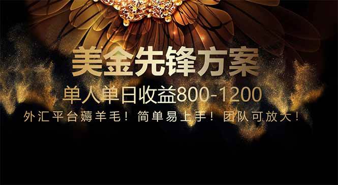 （14761期）免费技术！小众赛道！一年布局抵三年努力，每日800+|无忧资源社