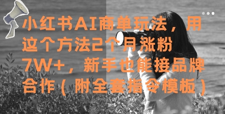 小红书AI商单玩法，用这个方法2个月涨粉7W+，新手也能接品牌合作(附全套指令模板)|无忧资源社