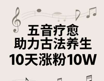 古法五音养生教程，五音疗愈的视频的制作方法，2-4小时就能学会，作者10天涨粉10W|无忧资源社