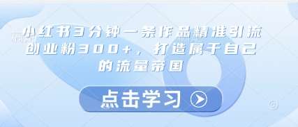 小红书3分钟一条作品精准引流创业粉300+，打造属于自己的流量帝国|无忧资源社